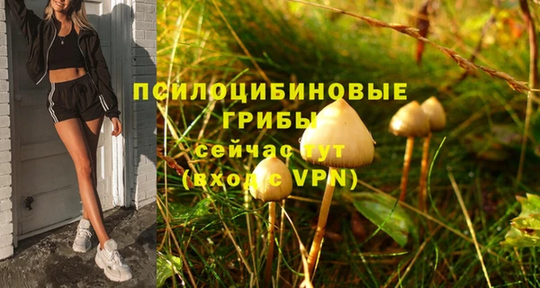 индика Абаза
