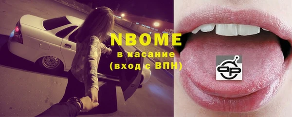 индика Абаза